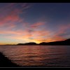 20101113_431